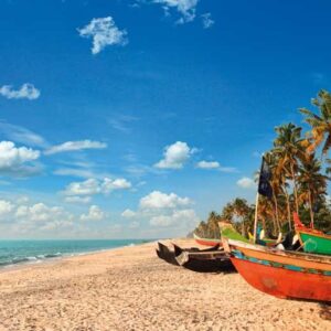 Majestic Western India: From the Beaches to the Forts