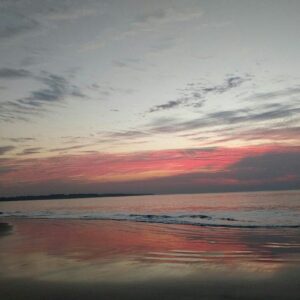 Coastal Pulse: Daman & Diu Diaries