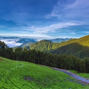 Jibhi Escapes: Whispering Woods of Himachal