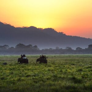 Majuli & Kaziranga: Assam’s Culture & Wild